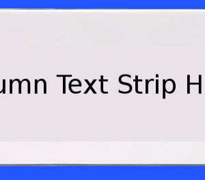 Magnetic backed, Column Text Strip Holder